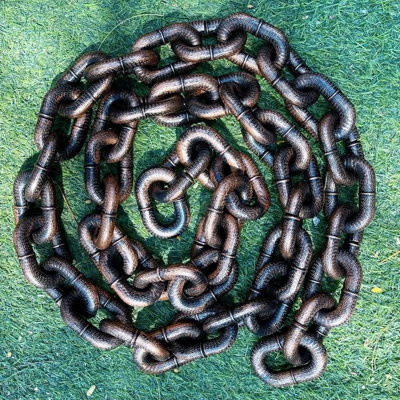 Guinzaglio per Cani Cool e Divertente - PawChic