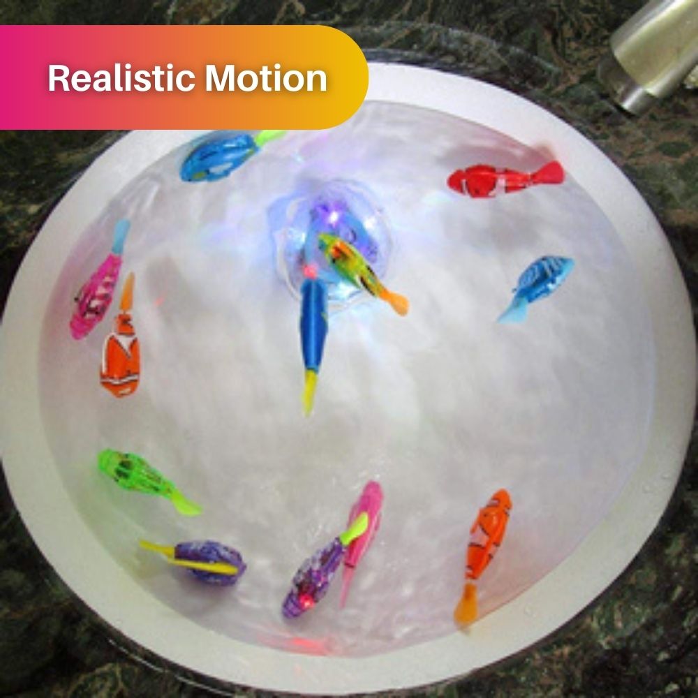 Set da Gioco per Gatti – AquaPurr