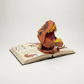 Libro Pop-up 3D Dinosauri