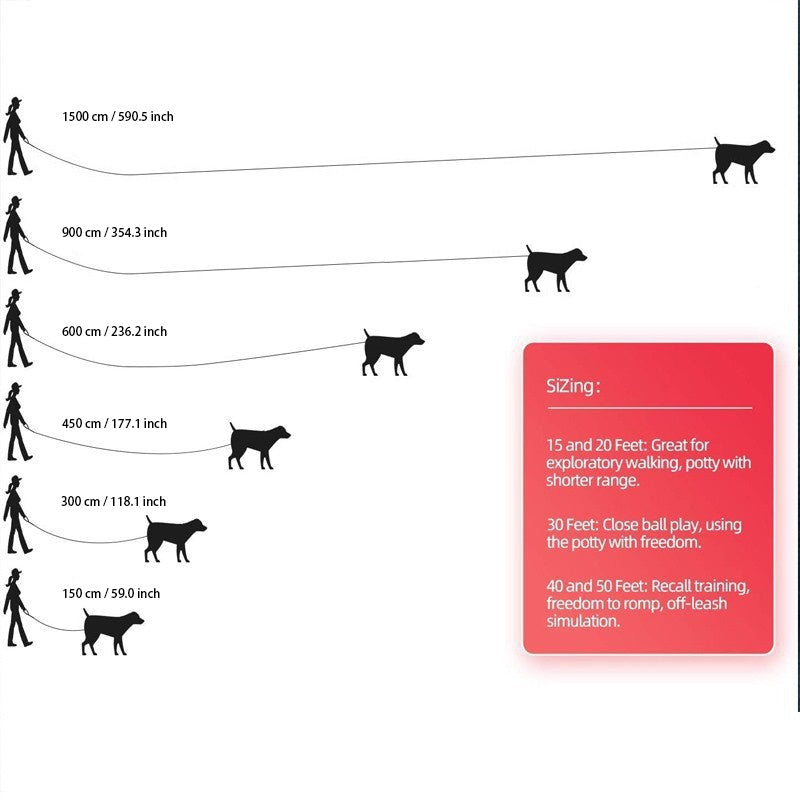 Guinzaglio Lungo in Nylon per Cani – Perfetto per Addestramento e Attività all'Aperto
