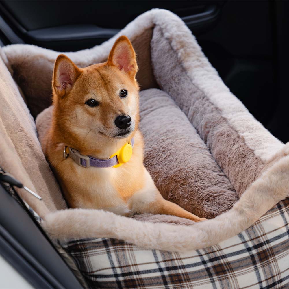 Seggiolino Auto per Animali Domestici – RideSafe CozySeat