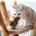 Stimule l'instinct naturel de ton chat
