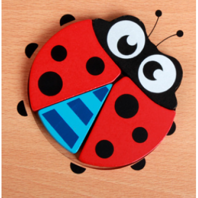 Puzzle Didattico in Legno per Bambini – Set Montessori Explorer (Acquista 1 e Ricevi 1 GRATIS)