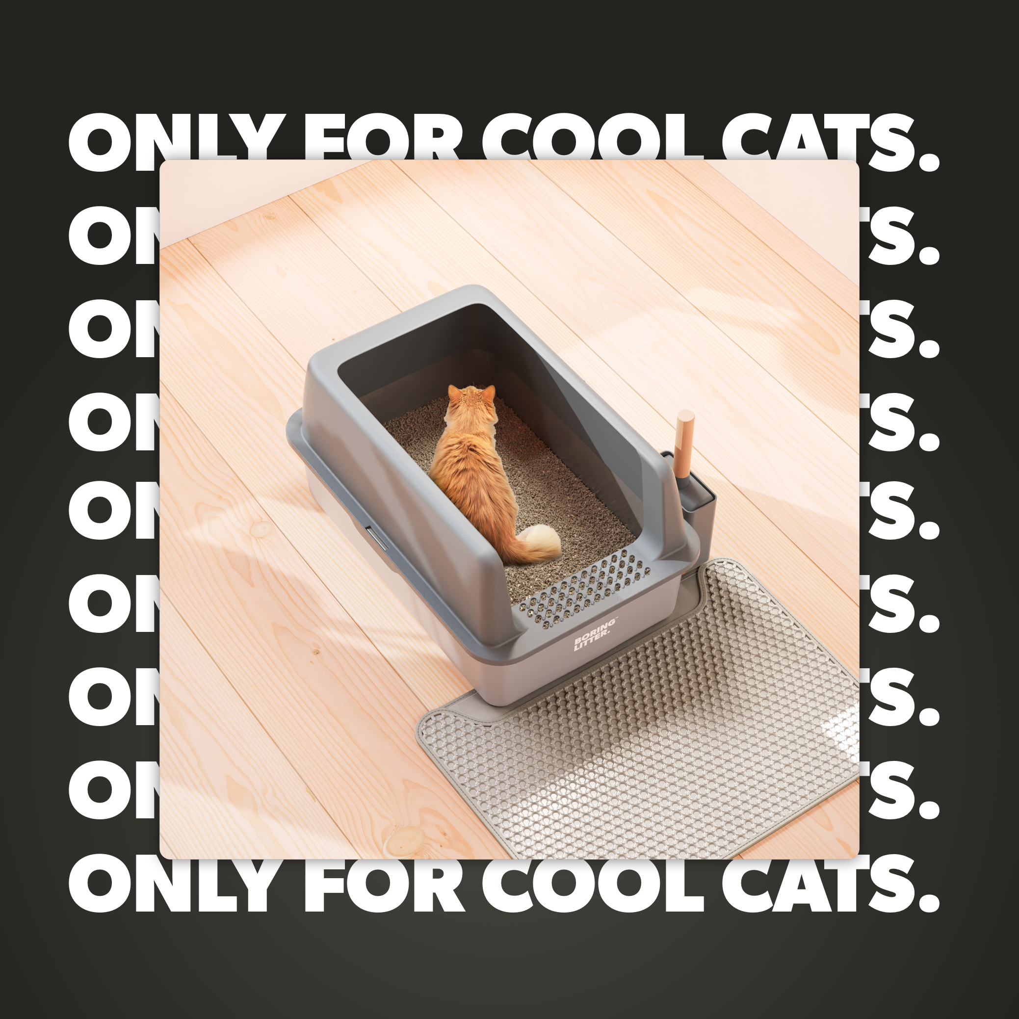 Vassoio per lettiera in acciaio inox – SteelClean