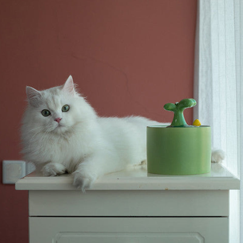 Fontana per Gatti – SpringFlow