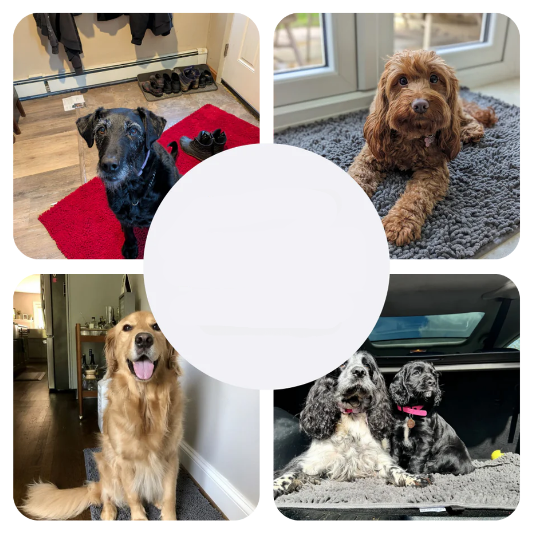 Tappetino Super Assorbente per Cani – PawMat