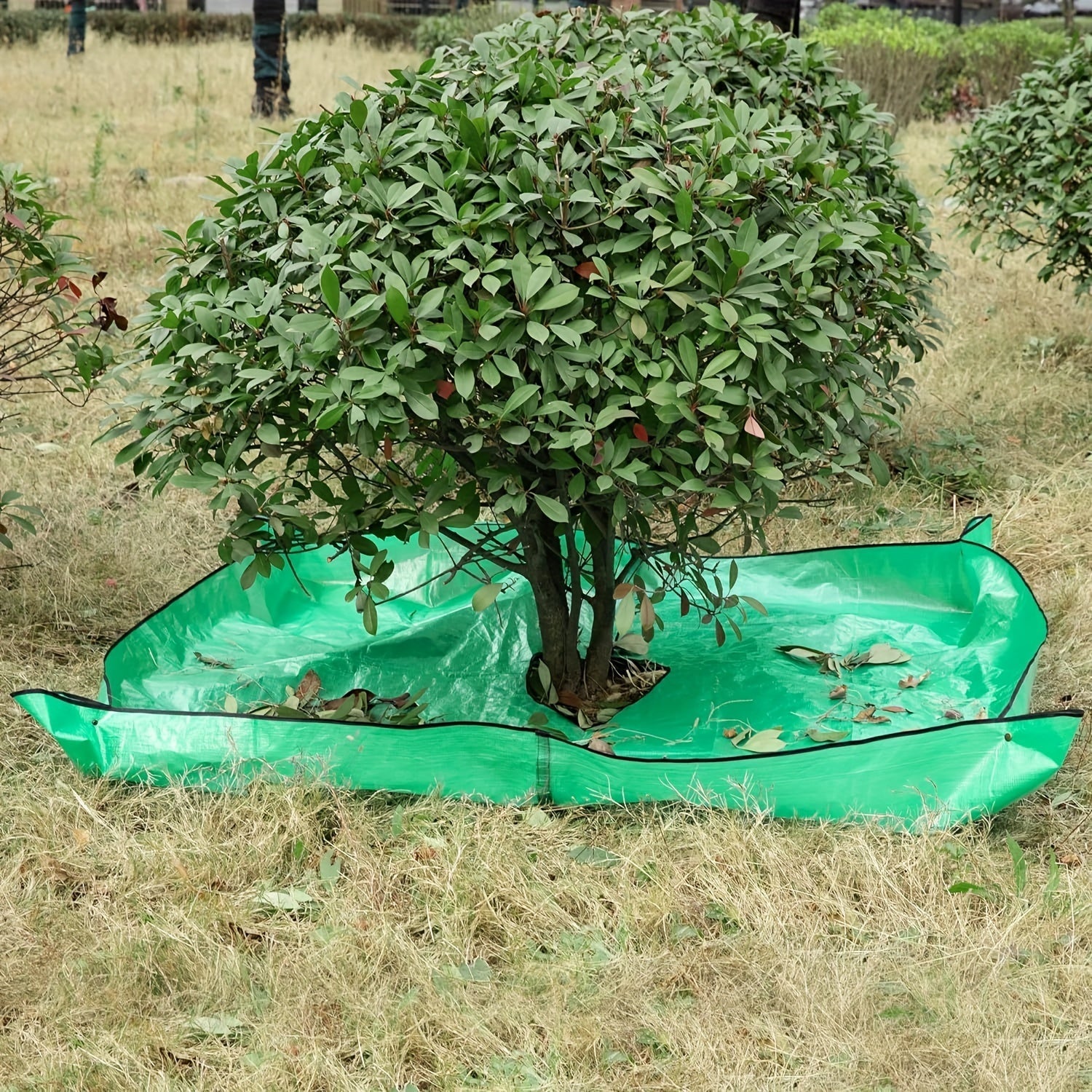Telo da Giardino Grande con Apertura per Alberi – Impermeabile, Riutilizzabile e Perfetto per la Potatura