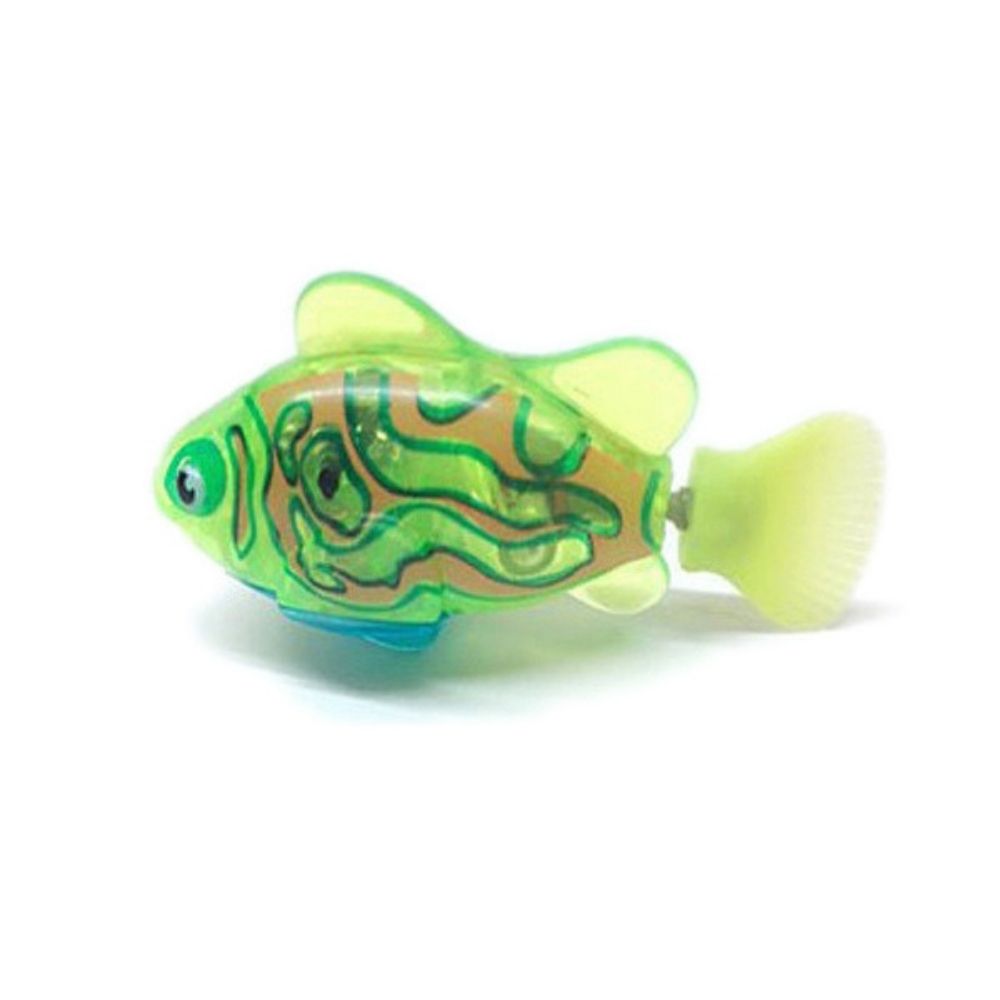 Set da Gioco per Gatti – AquaPurr