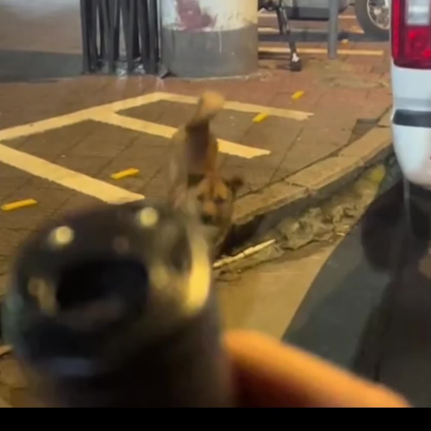 SilentGuard Dispositivo Ultrasonico Antibark – Calma e Controllo