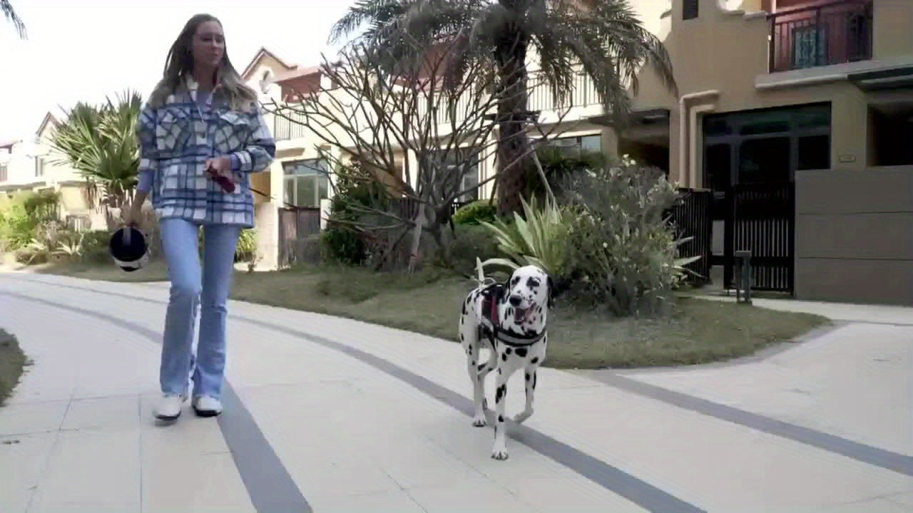 Bottiglia d'Acqua per Cani di Grande Capacità 74oz – Ciotola Portatile per Avventure all'Aperto