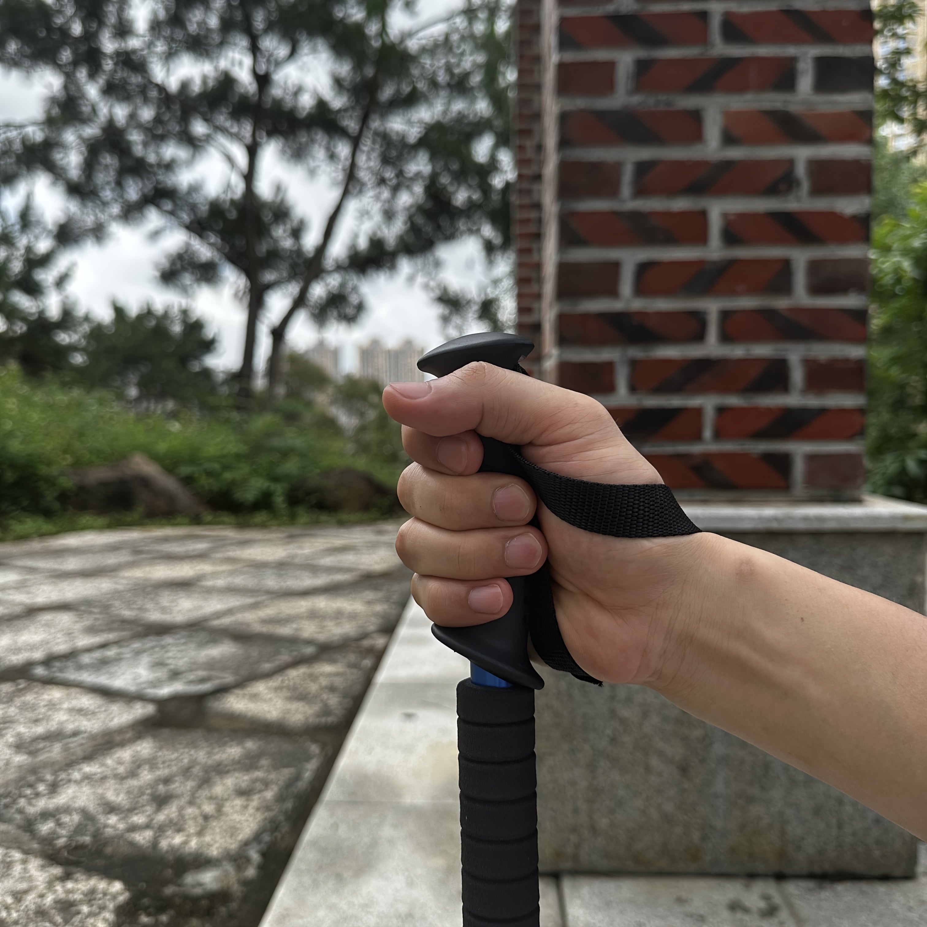 Bastoni da Trekking Leggeri in Alluminio – Regolabili e Ammortizzanti per Escursionisti Avventurosi