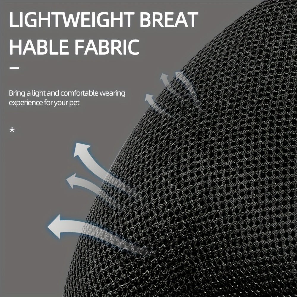 Set di Imbracatura e Guinzaglio Riflettente per Gatti – Ideale per Passeggiate e Addestramento