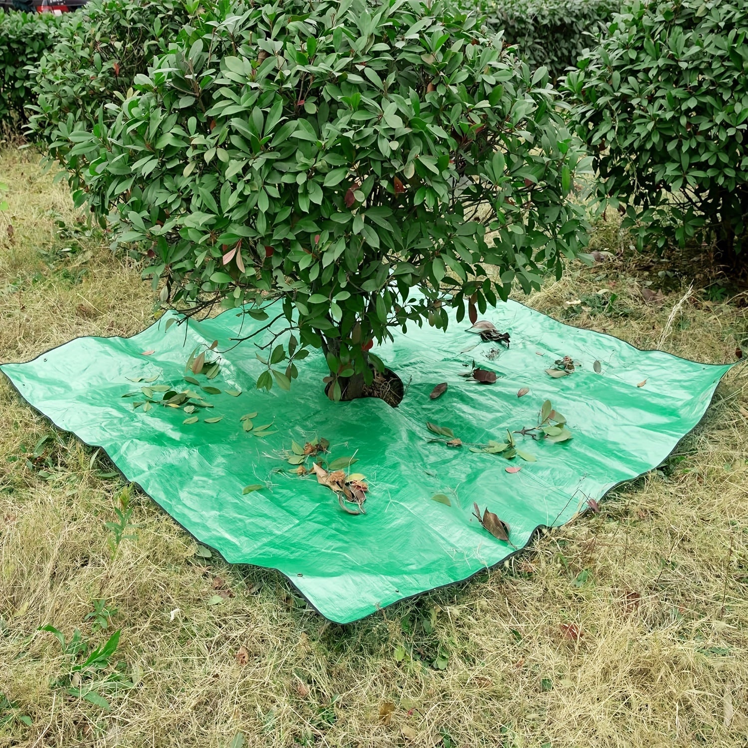 Telo da Giardino Grande con Apertura per Alberi – Impermeabile, Riutilizzabile e Perfetto per la Potatura