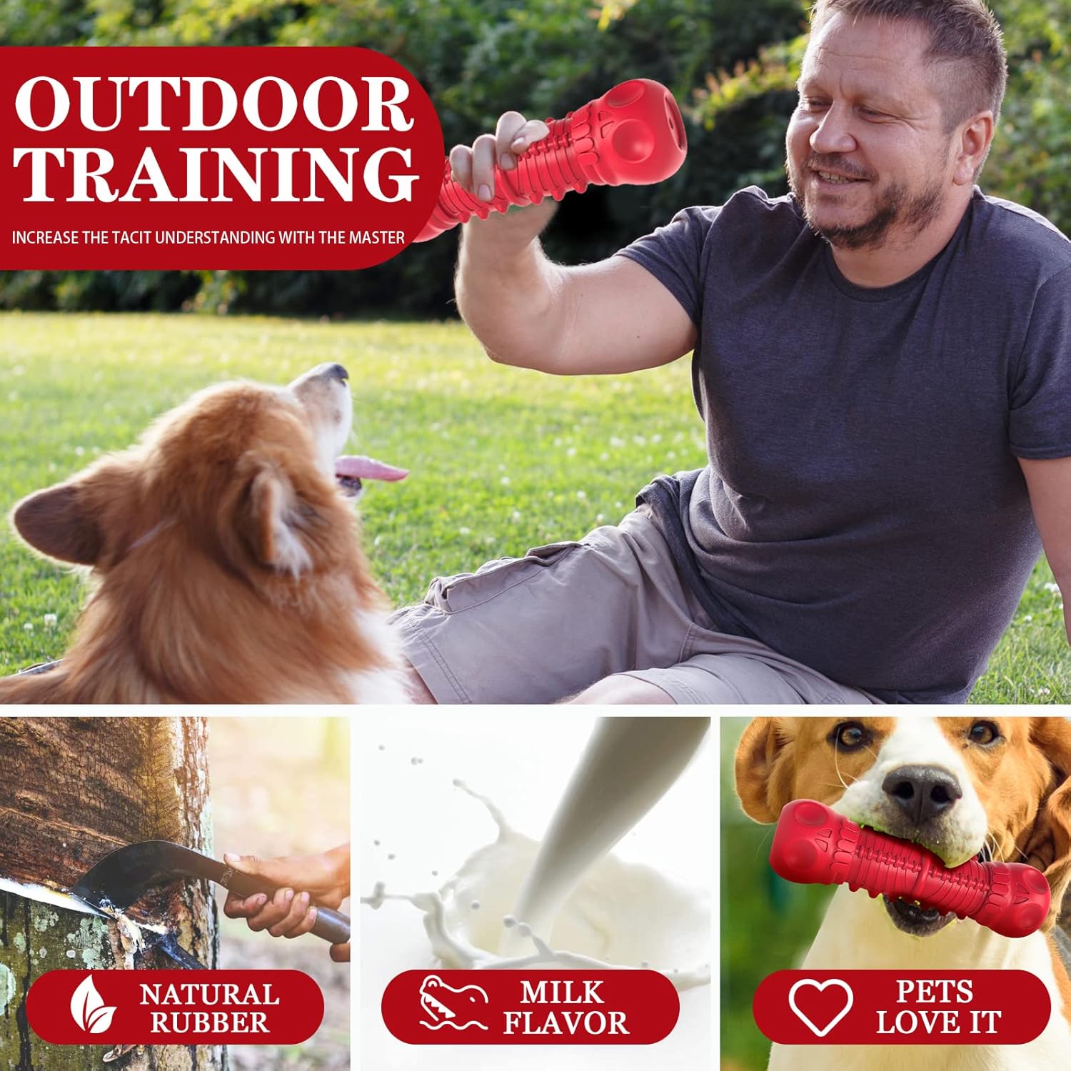 Giocattolo da Masticare in Gomma Resistente per Cani