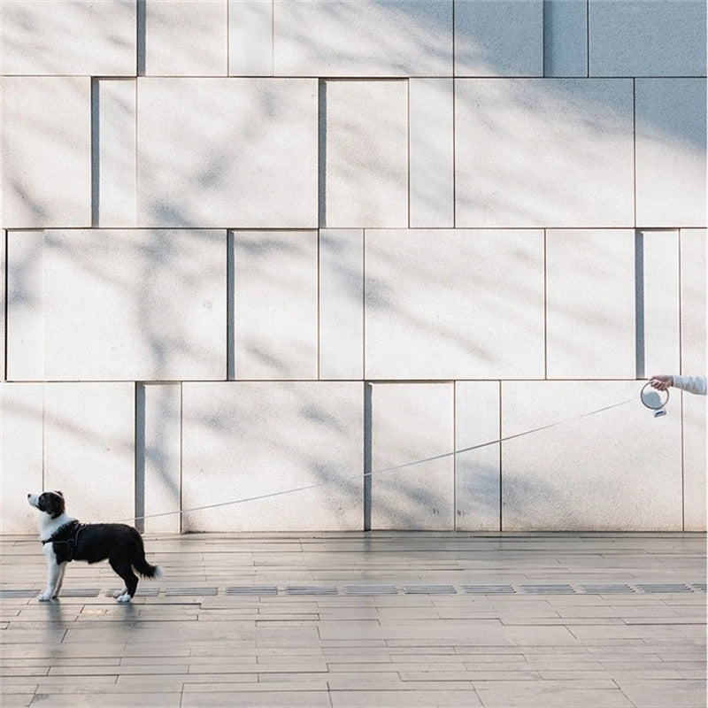 Guinzaglio Automatico per Cani con LED – Manico Ergonomico e Luce di Sicurezza