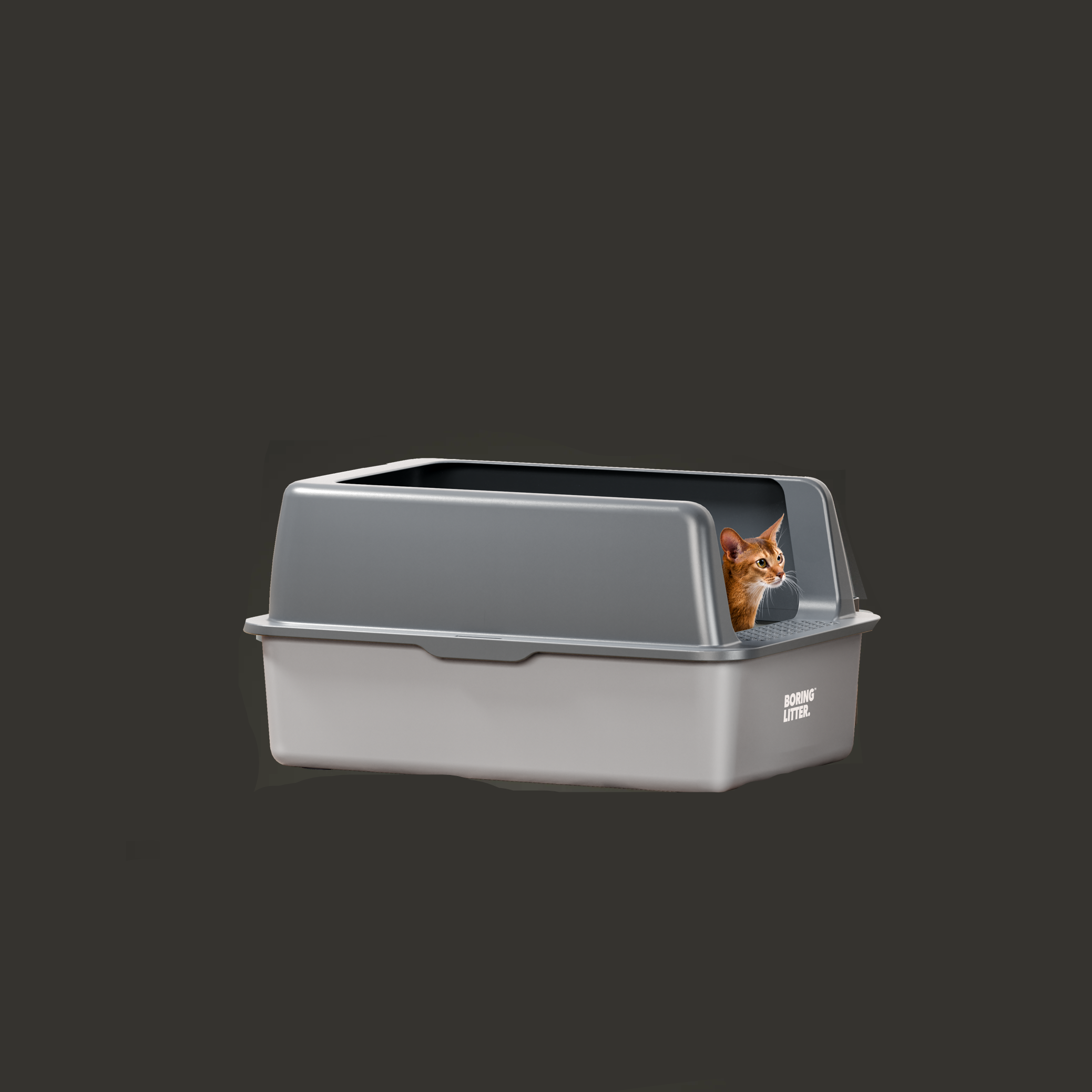 Vassoio per lettiera in acciaio inox – SteelClean