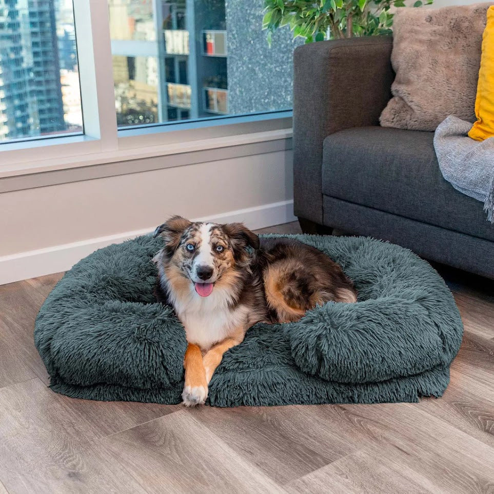 Letto per Cani Calmante con Memory Foam - Charlie