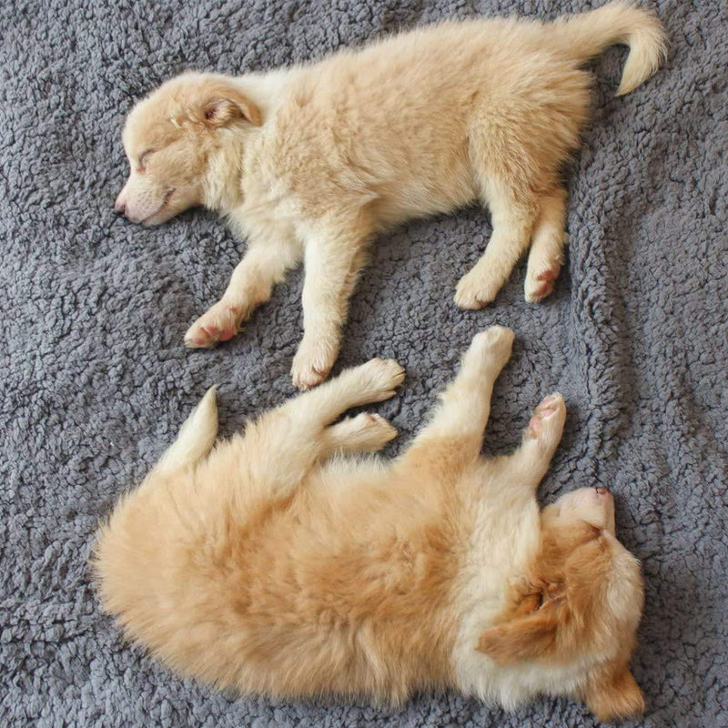 Coperte per Cuccioli Morbide Invernali - SnuggleFur Fleece