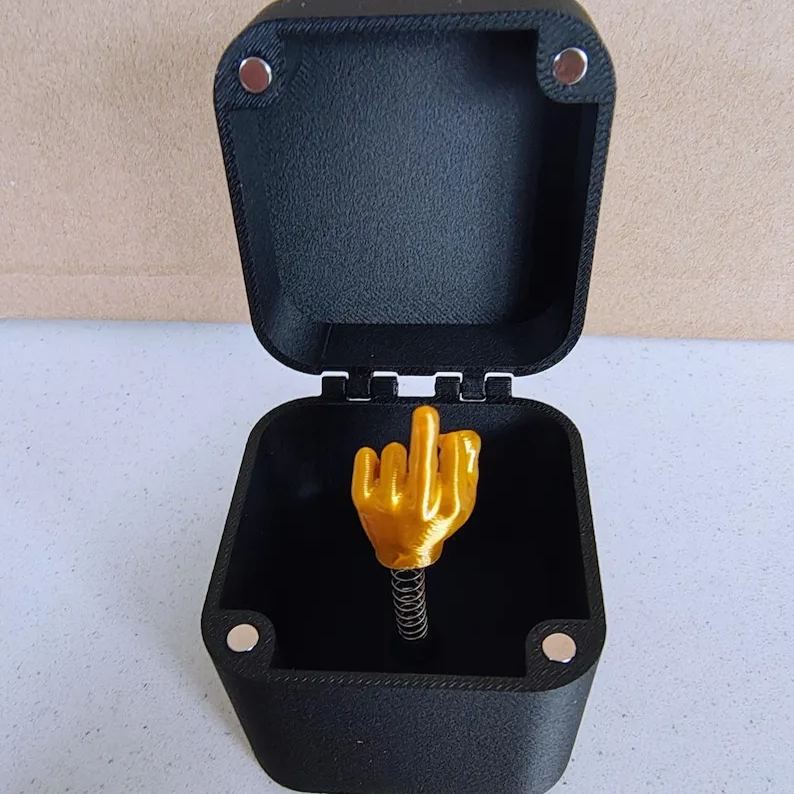 PrankLux Scatola Sorprese Nascosta | Regalo divertente unico per risate e occasioni di divertimento