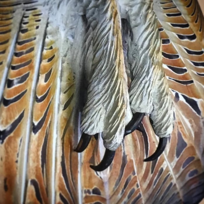 Decorazione da Parete in Legno – Gufo “Maestoso”