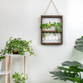Cornice per piante | Design elegante per la propagazione