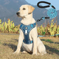Harnais anti-traction pour chiens avec rembourrage confortable – PullFree