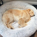 Calming Soft Bed