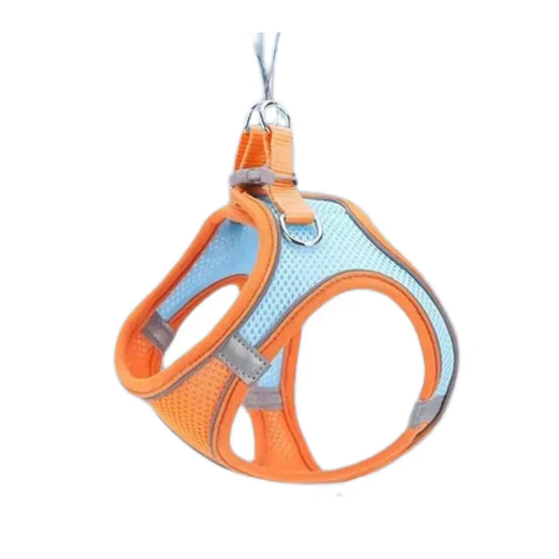 Imbracatura Regolabile per Gatti con Guinzaglio – WhiskerWander