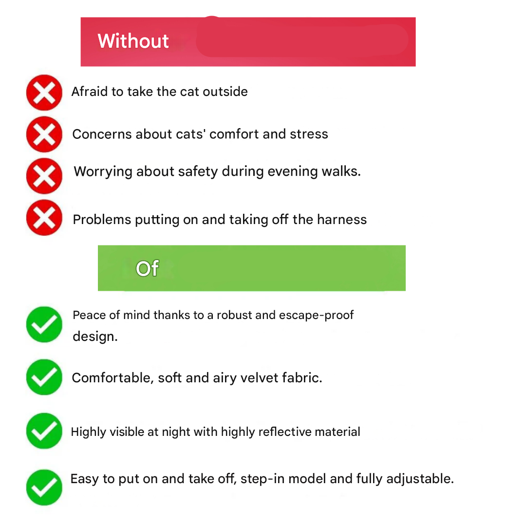 Imbracatura Regolabile per Gatti con Guinzaglio – WhiskerWander