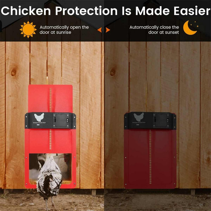 PoultryGuard Luxe Porta Automatica | Porta intelligente controllata dalla luce per polli al sicuro