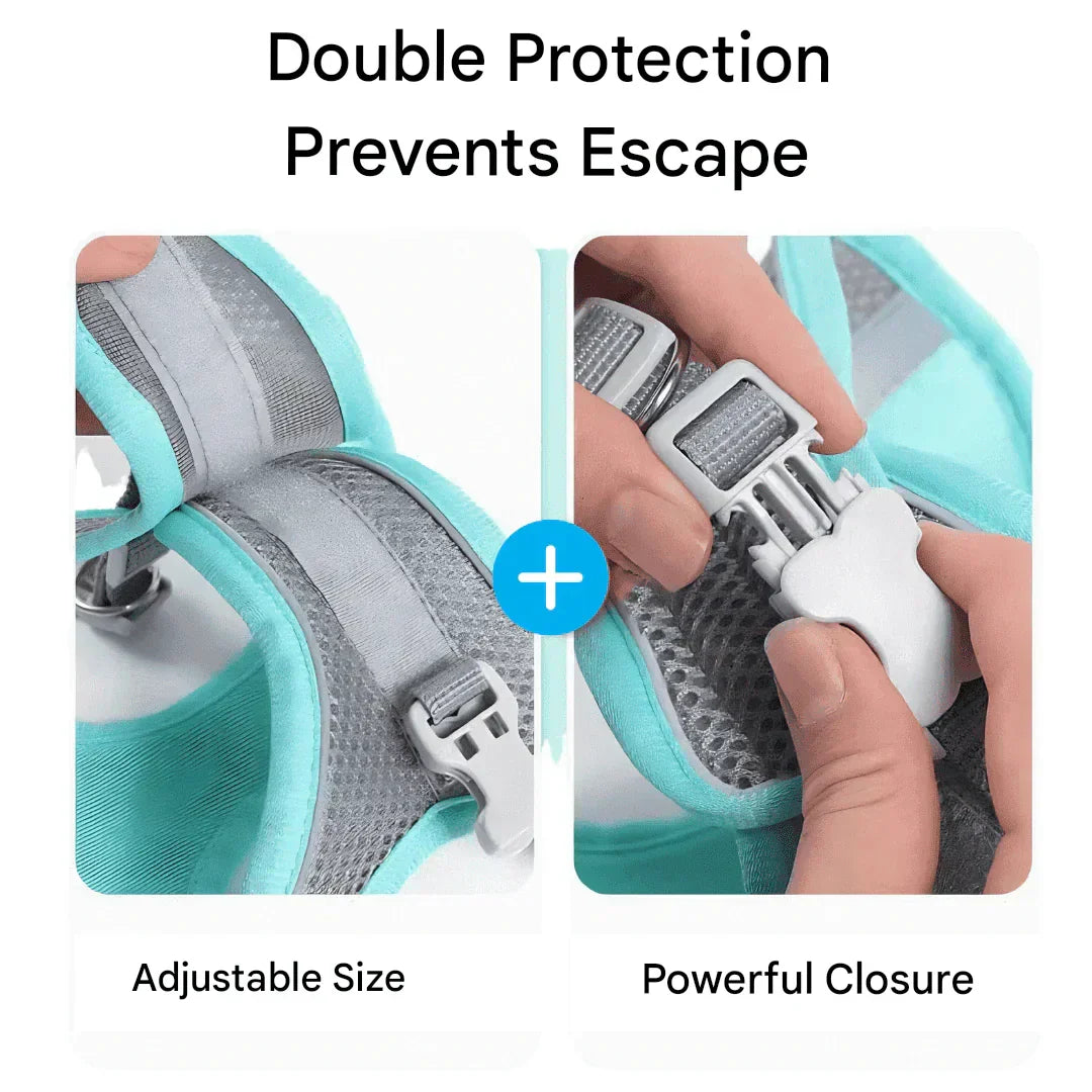 Imbracatura Regolabile per Gatti con Guinzaglio – WhiskerWander