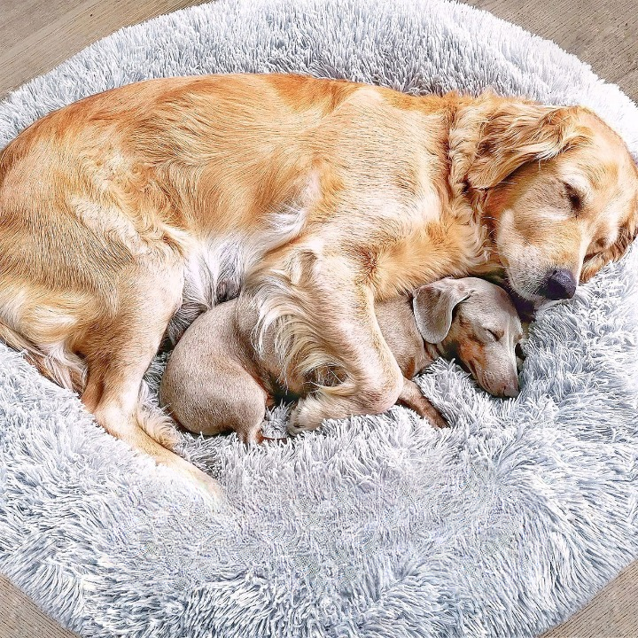 Letto per Cani Fluffy Plus – L'Originale