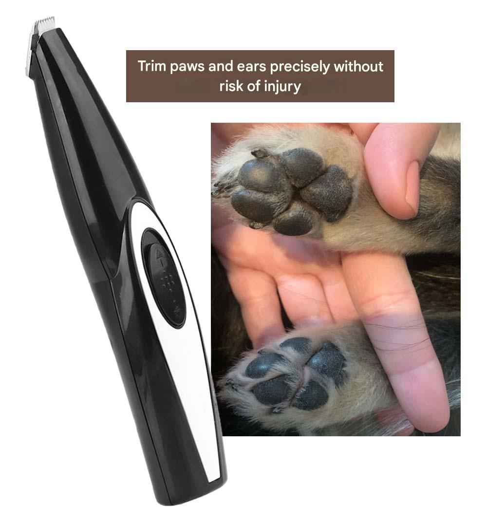 Rasoi per Animali Domestici - PawPerfect