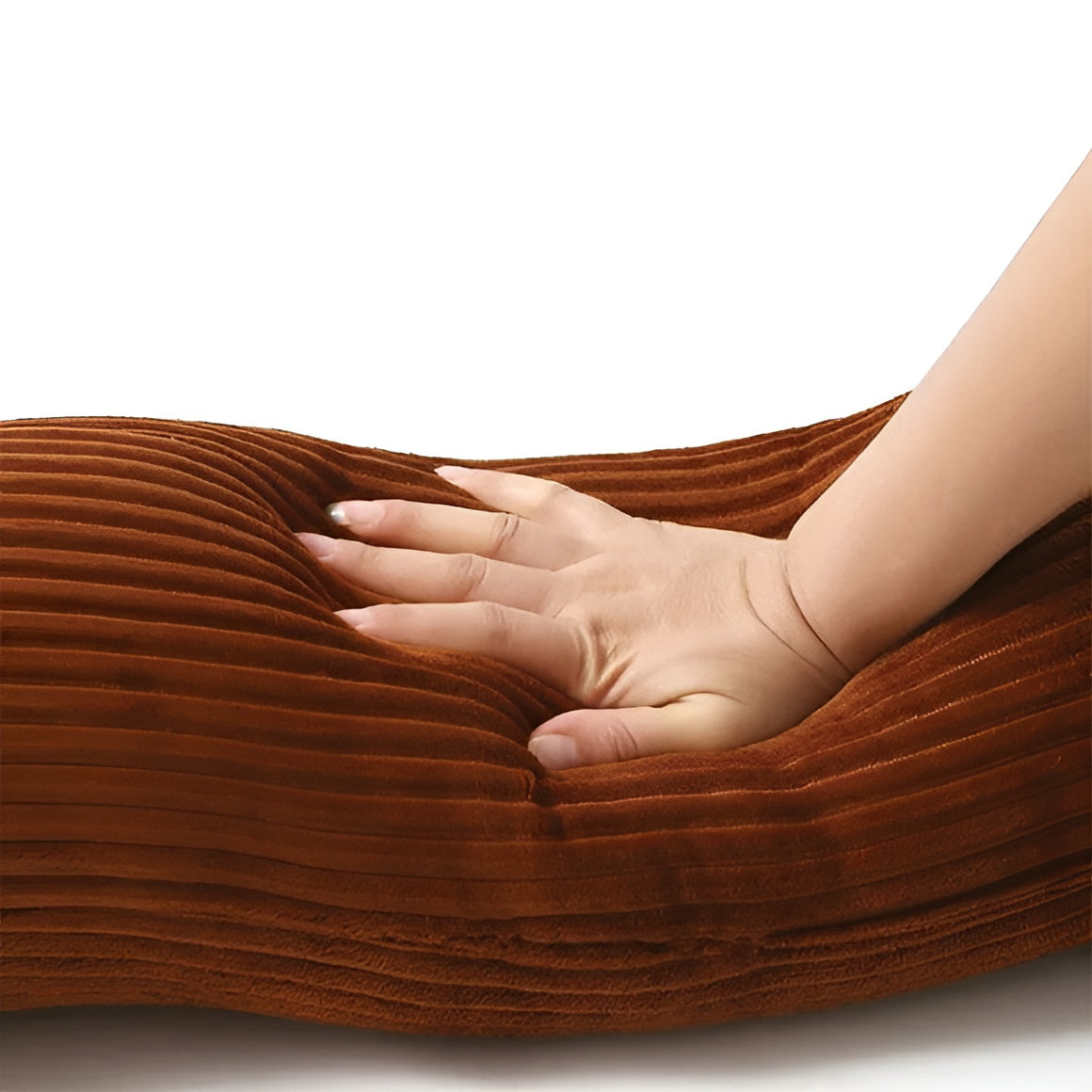 Cuscino Ergonomico in Peluche a Forma di Bassotto – DaxiRest