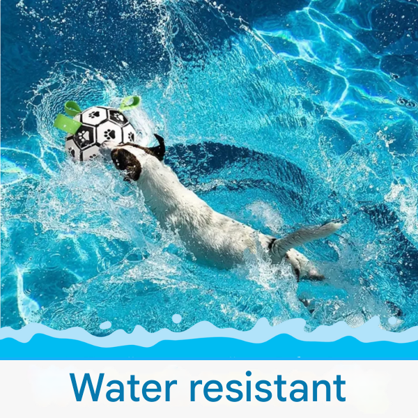 Palla per Sport Cani Sostenibile con Manici – TugBounce