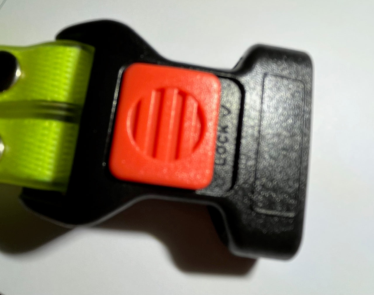 Collare LED luminoso per cani con guinzaglio - NightBright