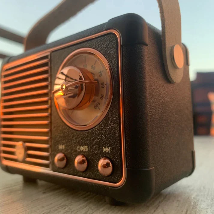 Sonique Classic Bluetooth Speaker | Altoparlante wireless premium a 2.0 canali con audio ricco e design retrò