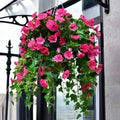 Gloriosa artificielle réaliste et résistante aux rayons UV - Achetez-en une, recevez-en une offerte !