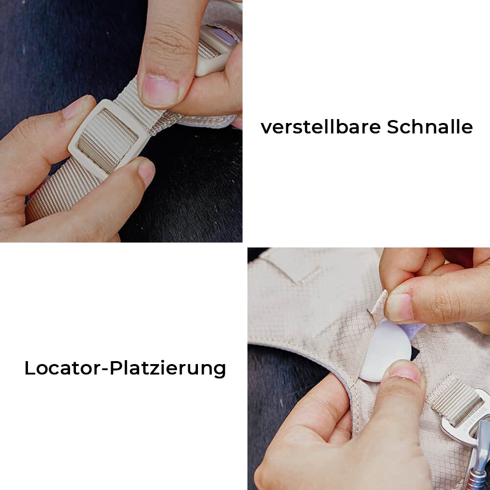 Imbracatura Antisgancio per Cani con Guinzaglio Multifunzionale - AquaCool