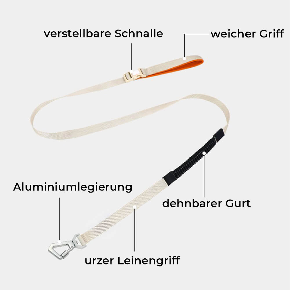 Imbracatura Antisgancio per Cani con Guinzaglio Multifunzionale - AquaCool