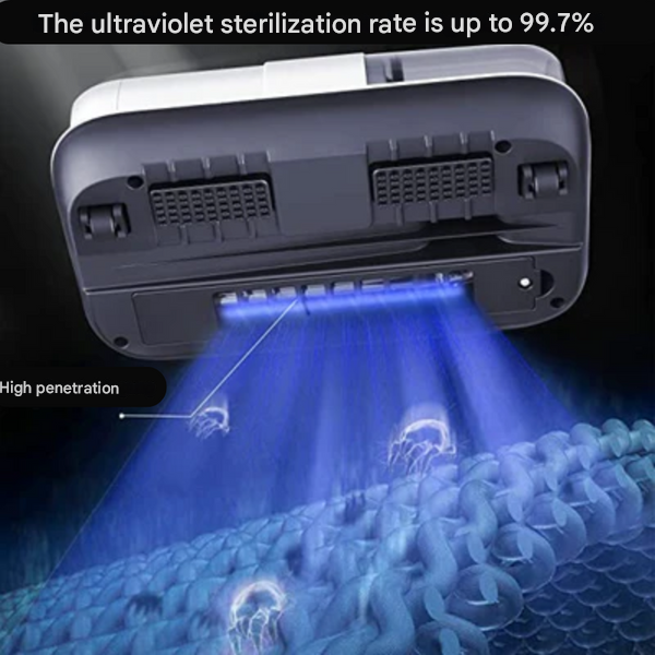 Rimuovi Acari Portatile - Dustora