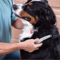 Tangle-Free Pet Comb