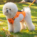 TailMate - Le collier confortable pour chiens