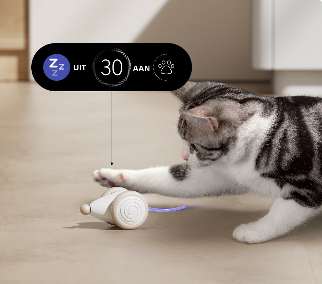 Il Giocattolo da Masticare Definitivo per Gatti – WhiskerPlay