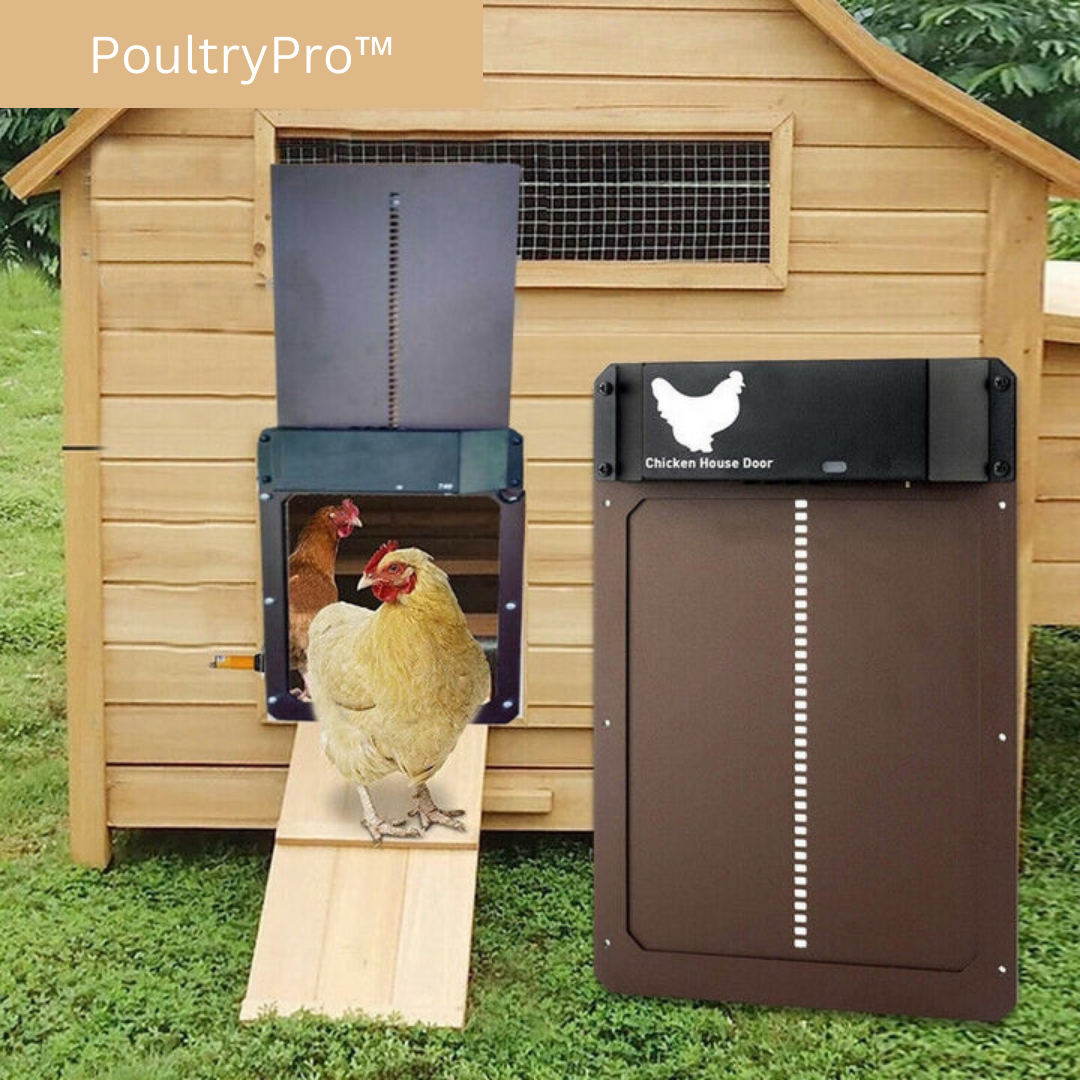 PoultryGuard Luxe Porta Automatica | Porta intelligente controllata dalla luce per polli al sicuro