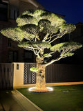 Éclairage LED pour arbres – Lampe sur pied ronde 360° pour jardins, allées et paysages