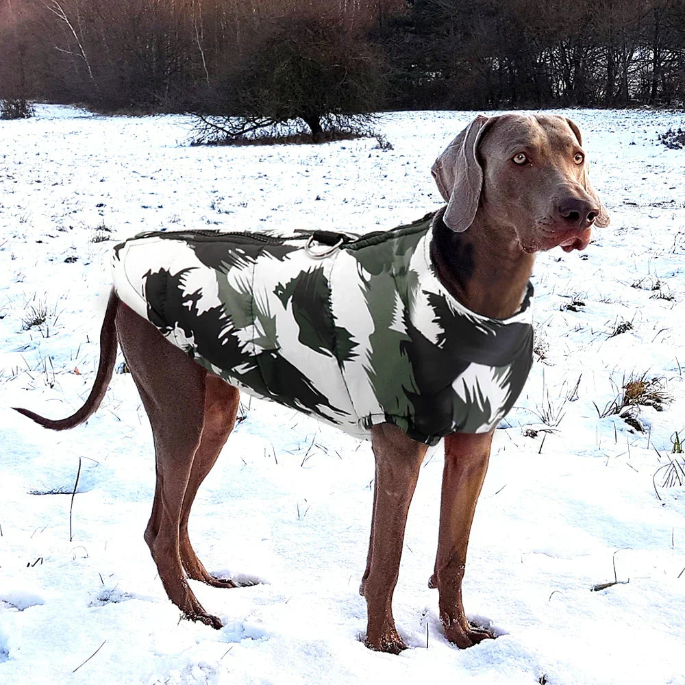 PawElite Cappotto Invernale - Cappotto Elegante per Cani