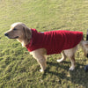 Giacca Termica PawShield per Cani - Cappotto Invernale per Cani di Piccole e Grandi Dimensioni