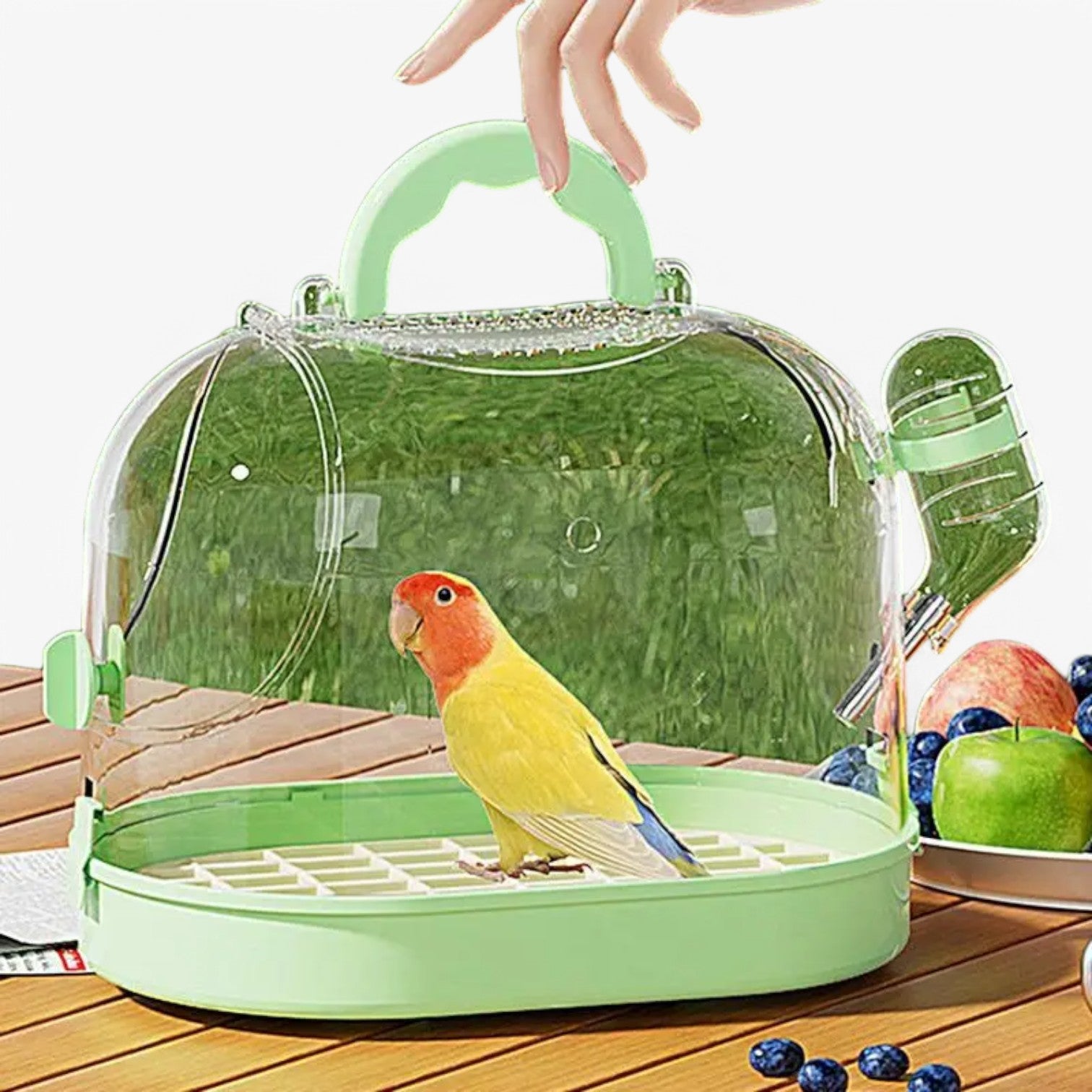 Gabbia da Viaggio Portatile e Traspirante per Piccoli Animali – Elvi