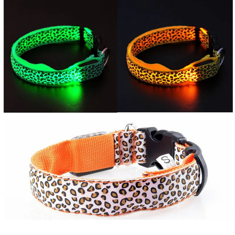 Collare per Cani LED NightGlow | Cammina in sicurezza e fai in modo di essere visto con questo collare luminoso per cani